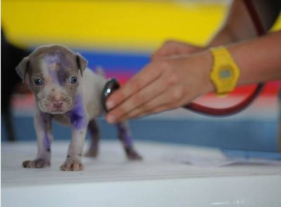 Notre zone d'activité pour ce service Comparer les contrats de prévoyance pour une infirmière libérale